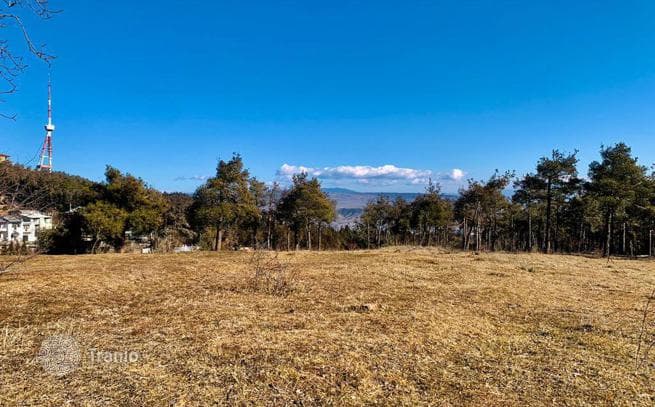 Land Plot in Old Tbilisi, Tbilisi, photo 3