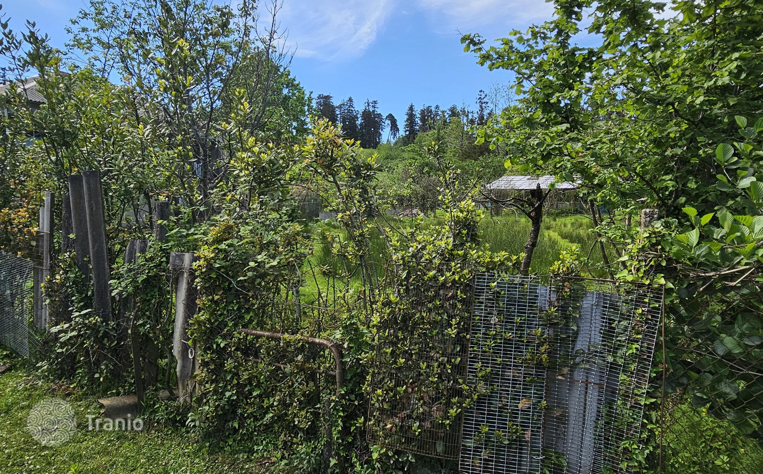 Non-Agricultural Land Plot with House Project in Chakvi, photo 2