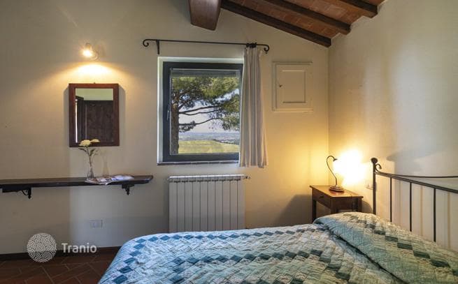 Villa with Two Guest Houses, Olive Groves and Vineyards in Castelfiorentino, photo 4