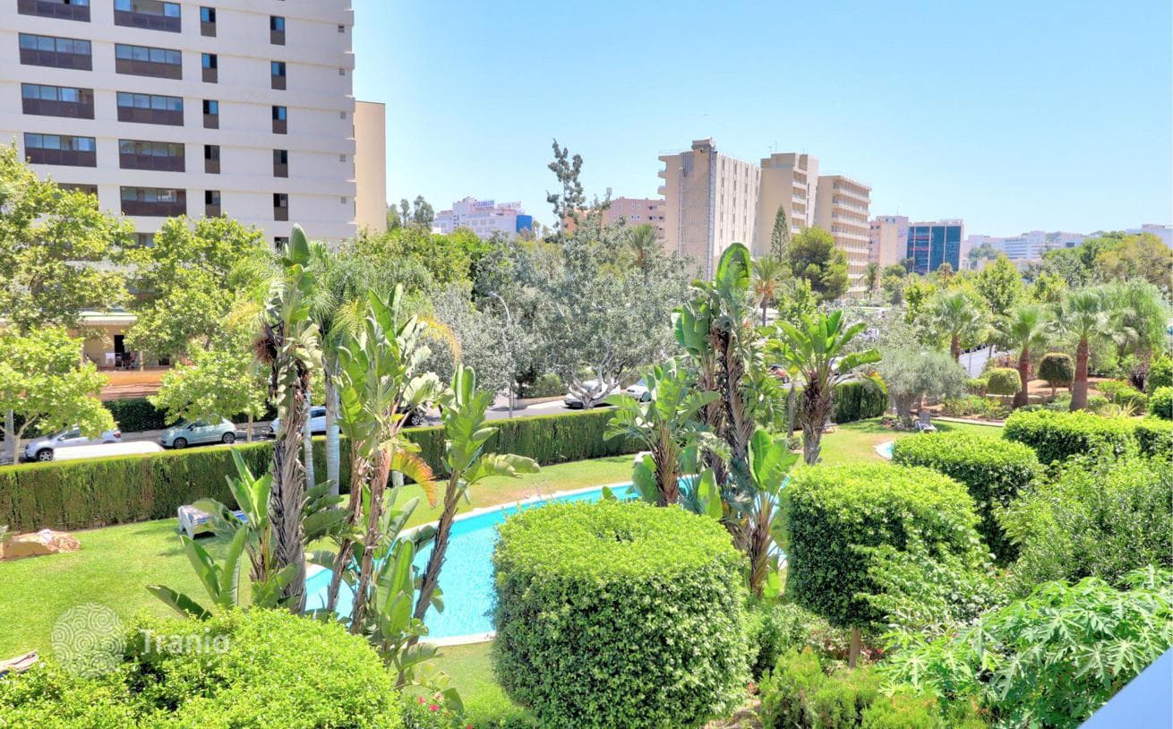 4-Bedroom Apartment Near the Sea in Palmanova, Mallorca, photo 3