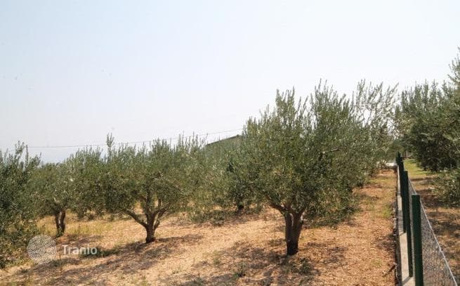 Farm in Kastela, Dalmatia