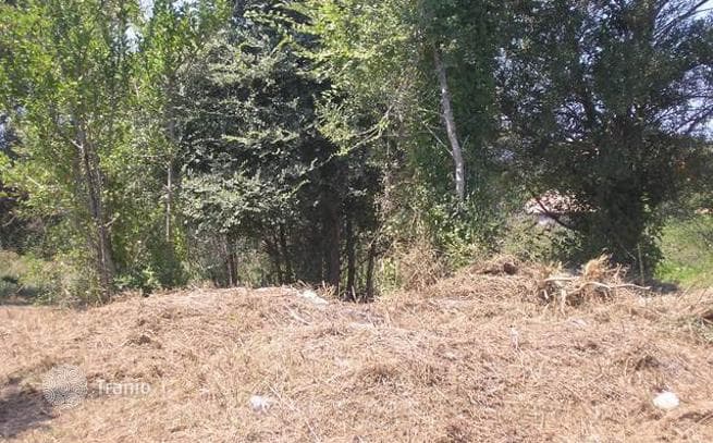 Land Plot in Agrafoi, Corfu, photo 2
