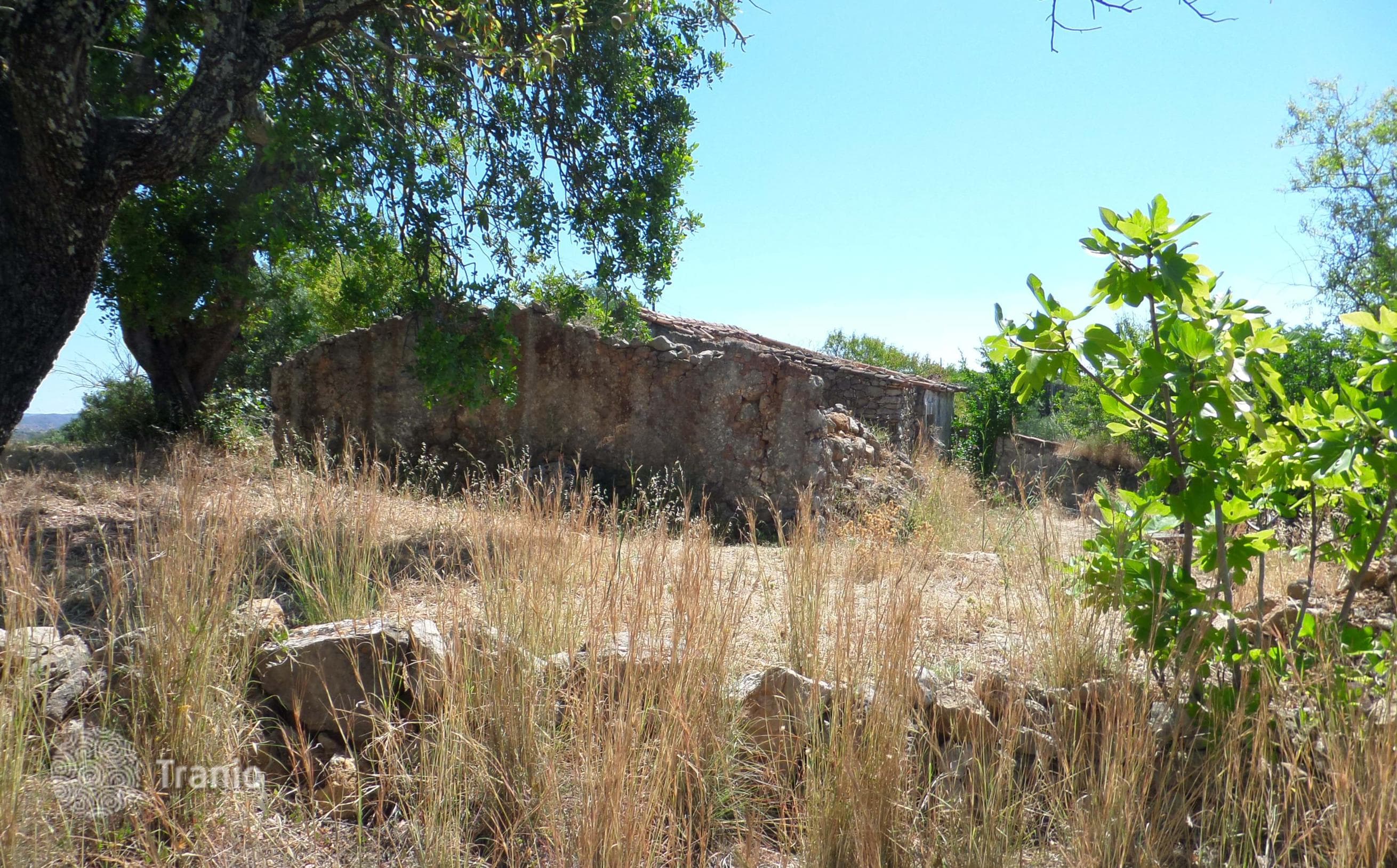 Land Plot in São Brás de Alportel, photo 5
