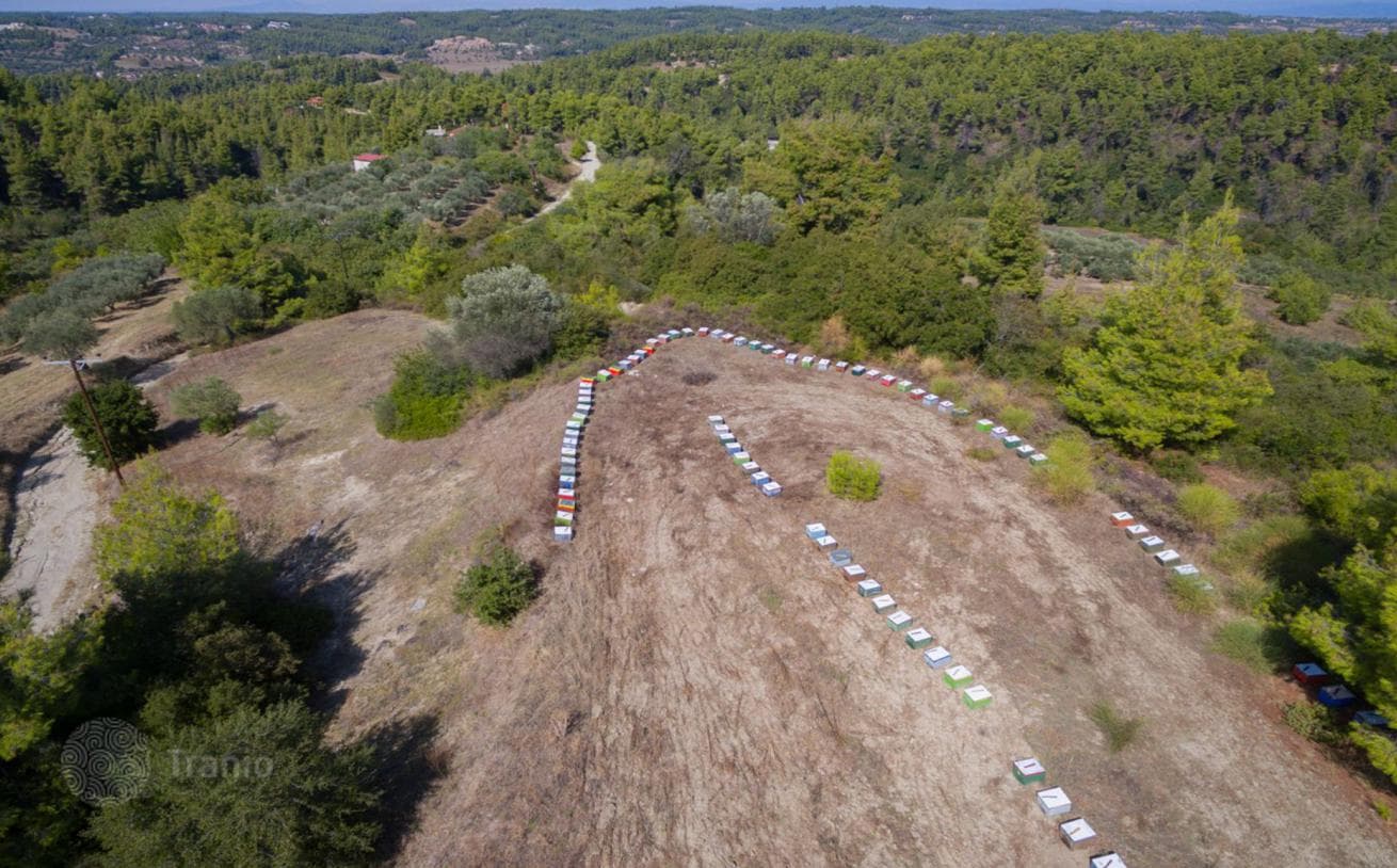 Land Plot with Panoramic Sea and Mountain Views in Kassandra, Greece, photo 5