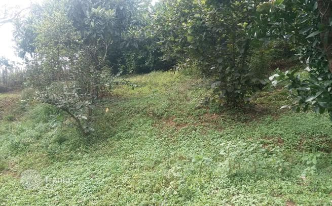 Land Plot with Sea and Mountain Views in Chakvi, Batumi, photo 2
