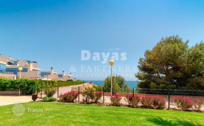 1-Bedroom Apartment in Denia, Spain, photo 5
