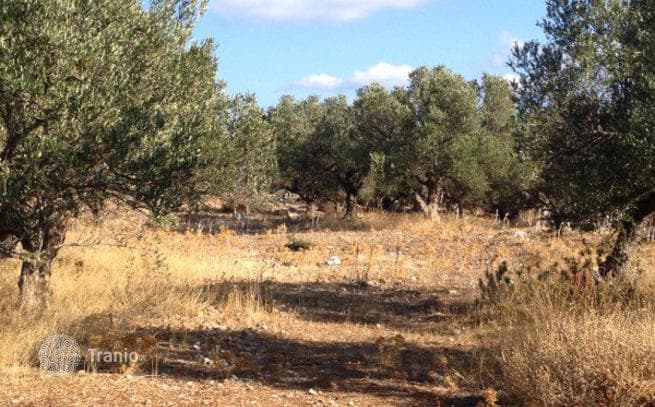 11,700 m² Land Plot with Panoramic Sea and Mountain Views in Sterna, Crete, photo 5