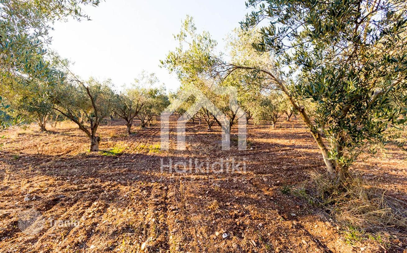 Land Plot with Sea View in Sitonia, Greece