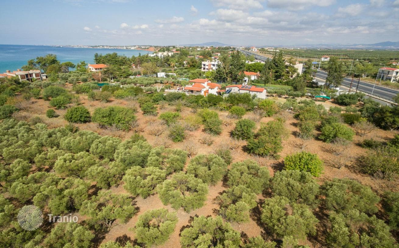 Land Plot with Sea and Mountain Views in Kassandra, Greece, photo 4