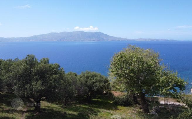 Beachfront Land Plot with Olive Grove and Building Permission in Kissamos, Crete, photo 3