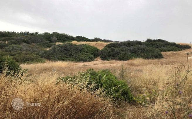 Land Plot in Paphos, Cyprus, photo 4