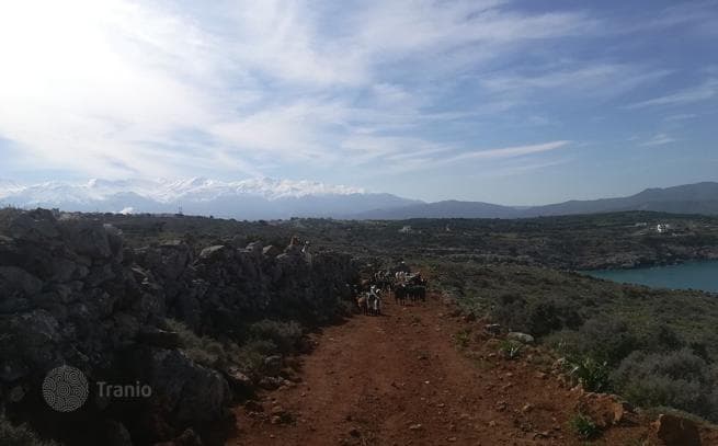 Beachfront Land Plot in Chania, Crete, photo 5