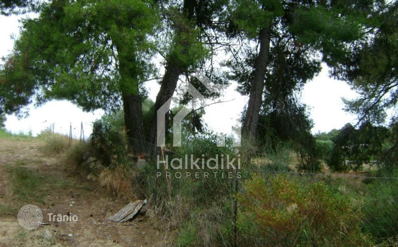 Land Plot with Forest and Beach in Kassandra, Greece, photo 3