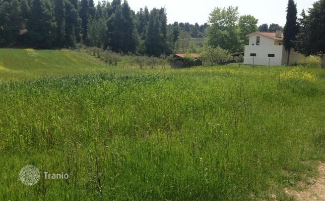 Land Plot with Mountain Views in Kassandra, photo 4
