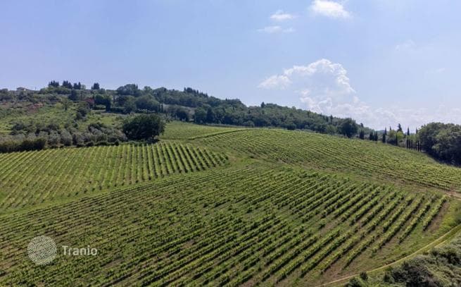 Farm in Florence, Italy