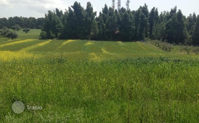 Land Plot with Mountain Views in Kassandra