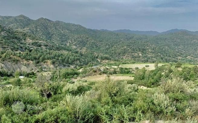 Land Plot in Troodos, Cyprus