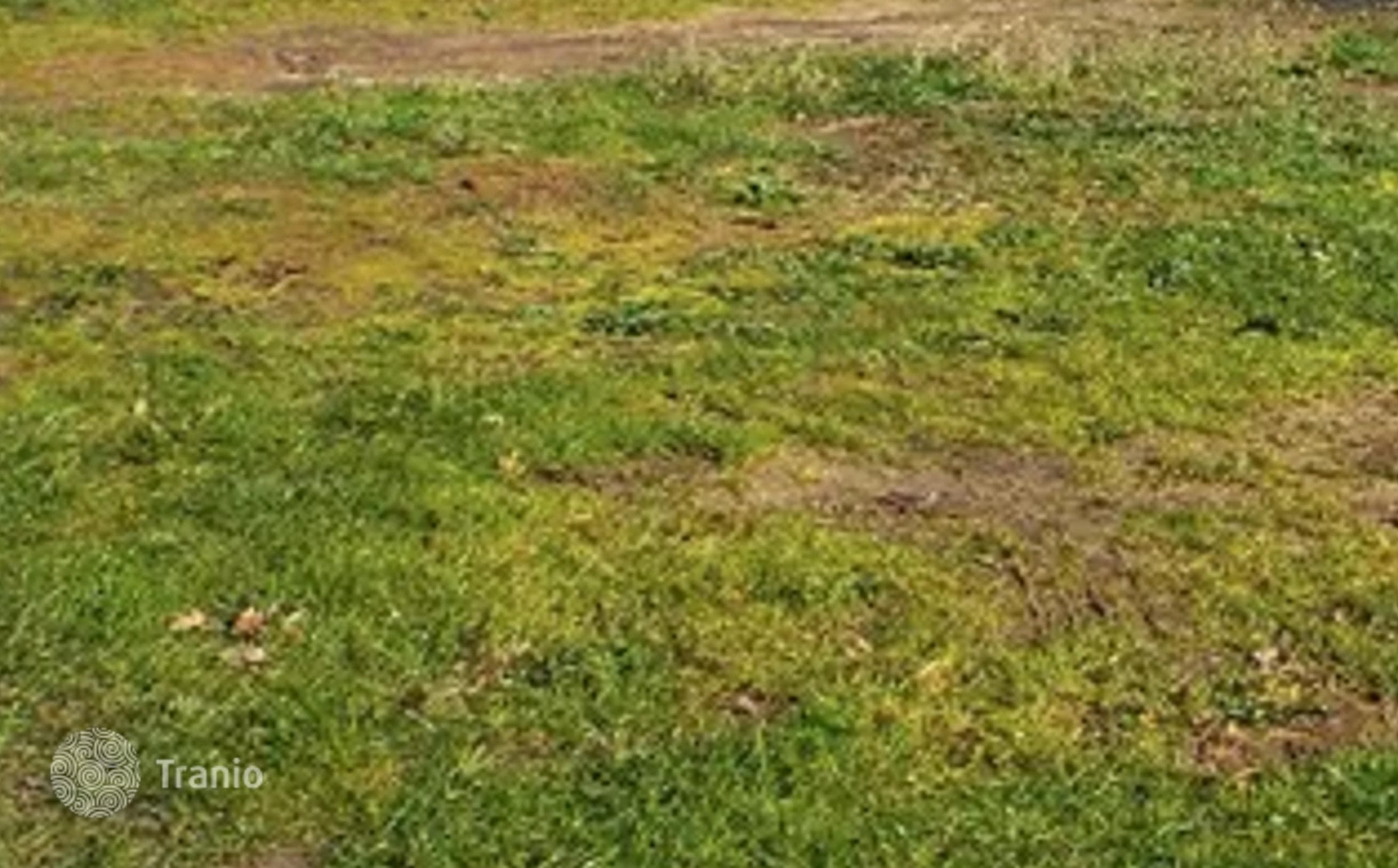 Land Plot in Beykoz, photo 2