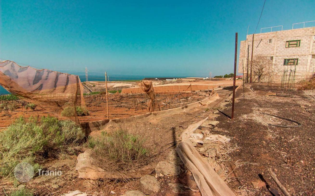65,000 m² Land Plot in Adeje, Tenerife, photo 3