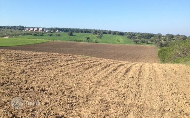 Land Plot with Sea View in Kassandra, Greece, photo 2