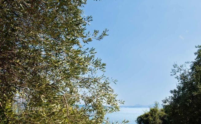 2-Bedroom Apartment in Barbati, photo 3