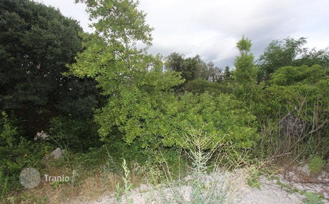 Land Plot 50 m from the Sea in Tivat, Montenegro, photo 4