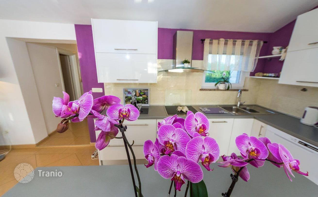 House with Apartments Near Zadar, Croatia, photo 5