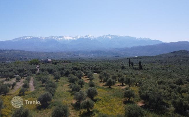 Land Plot with Olive Grove in Kalivesi, Crete, photo 5