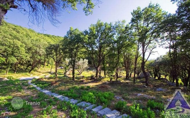 14,551 m² Land Plot in Budva, Montenegro, photo 2