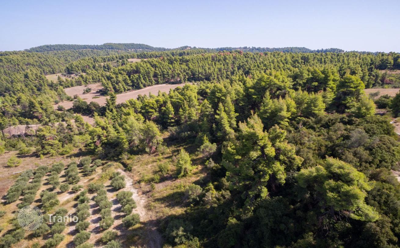 Land Plot with Panoramic Sea and Mountain Views in Kassandra, Greece, photo 3