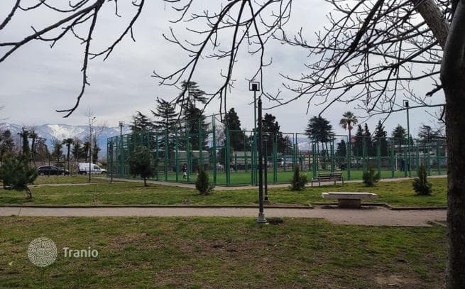 Большой дом в курортном городке Кобулети недалеко от моря, фото 3