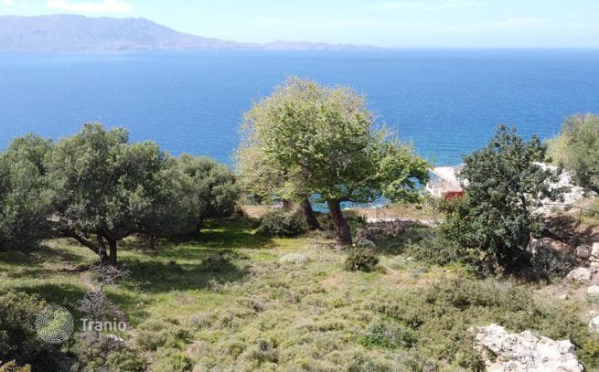 Beachfront Land Plot with Olive Grove and Building Permission in Kissamos, Crete, photo 5