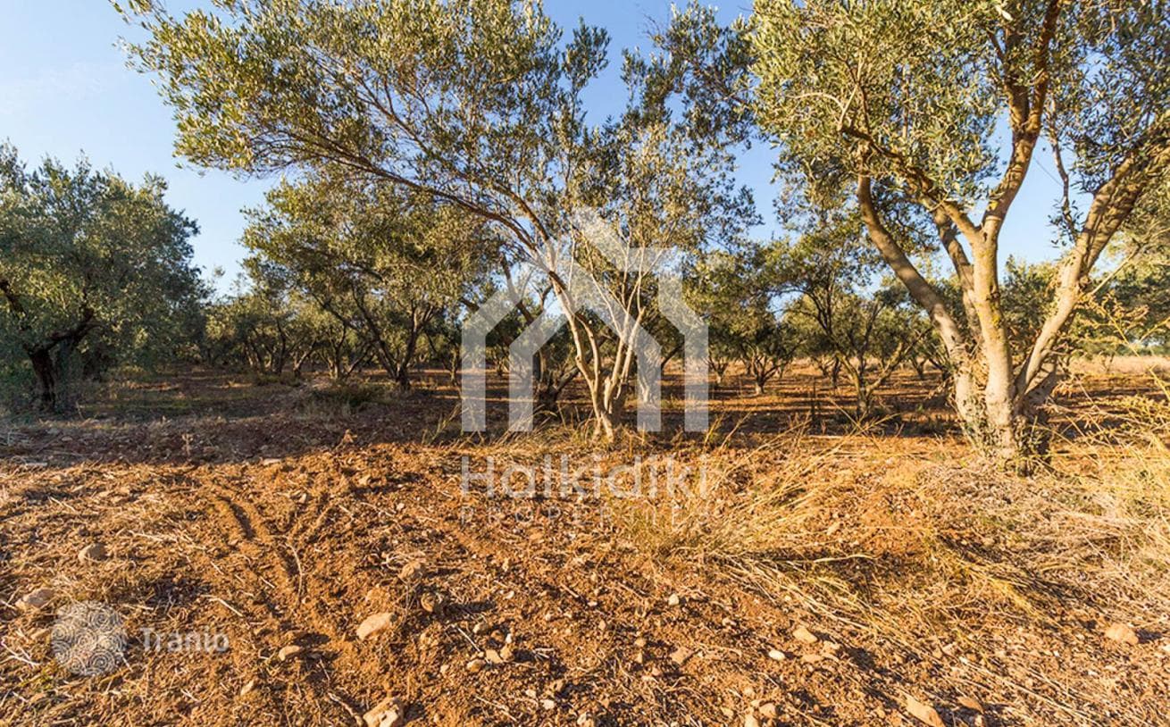 Land Plot with Sea View in Sitonia, Greece, photo 3