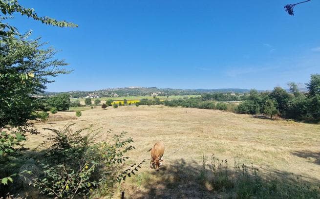 9-Bedroom Villa in Foiano della Chiana, Italy, photo 2