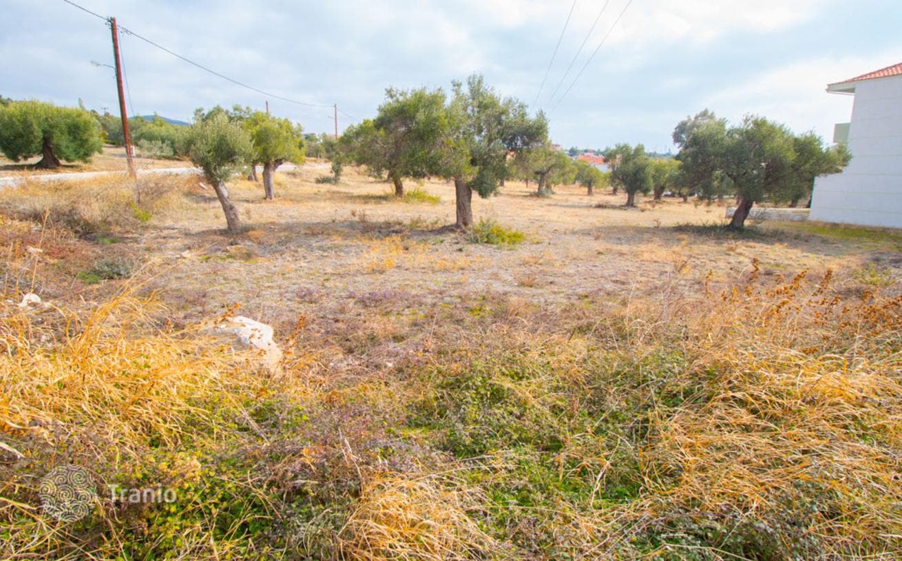 1,980 m² Land Plot with Beach Access in Sithonia, Halkidiki