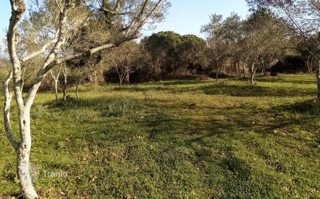 Land Plot in Varipatades, Corfu, photo 3