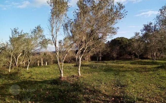 Land Plot in Varipatades, Corfu, photo 5