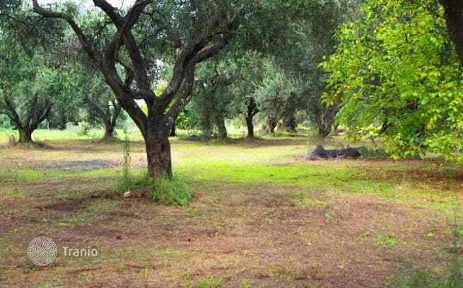 5,800 m² Land Plot in Roda, Corfu, photo 5