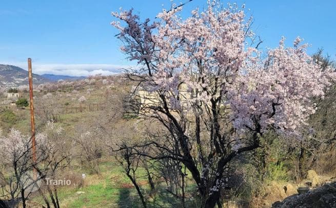 2-Bedroom Townhouse with Private Garden in Tbilisi, photo 5