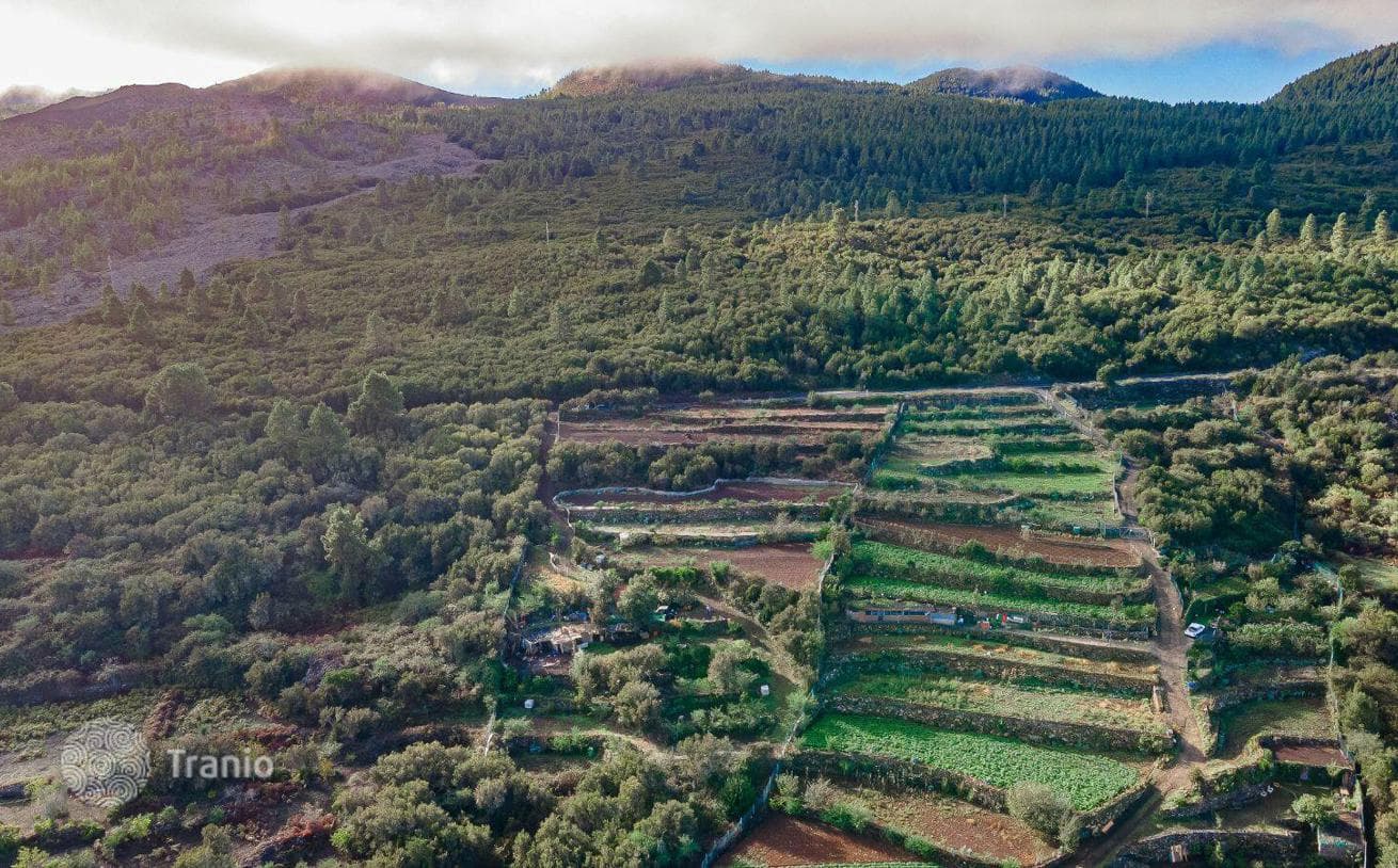 Land Plot with Fruit Orchard on Tenerife, Spain, photo 5