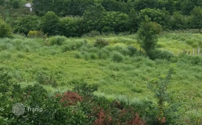 Land Plot with Sea and Mountain Views near Batumi, Georgia, photo 5
