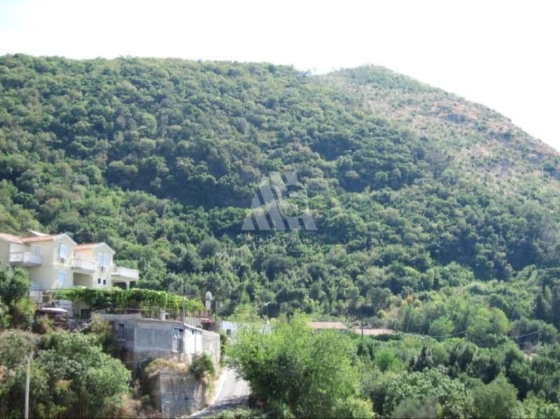 Apartment in Seoce, Montenegro, photo 2