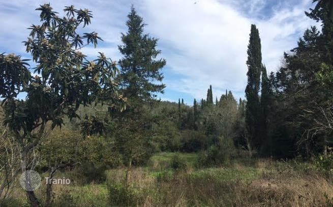 Land Plot in Sinarades, Central Corfu, photo 3