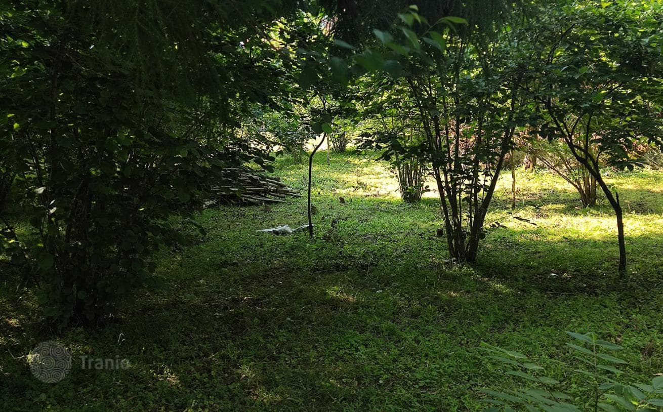 Land Plot near River in Chakvi, photo 5