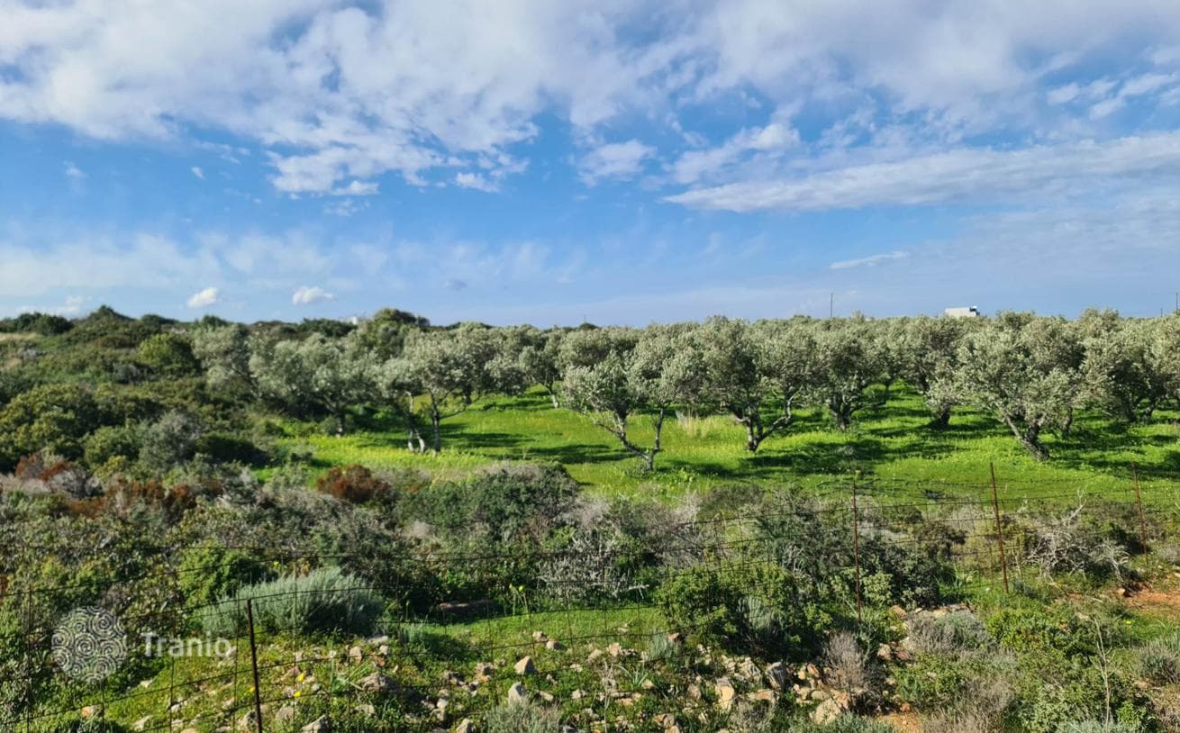 Large Land Plot Near Beach in Chania, Crete, photo 4