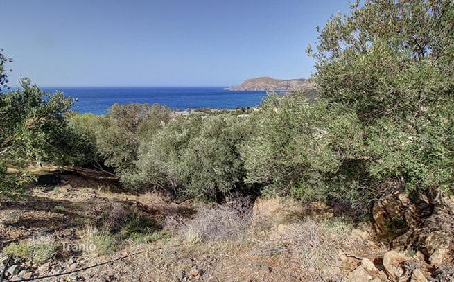 Land Plot with Sea View in Sfenari, Crete, photo 4