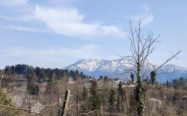 Land Plot with Mountain View in Chakvi