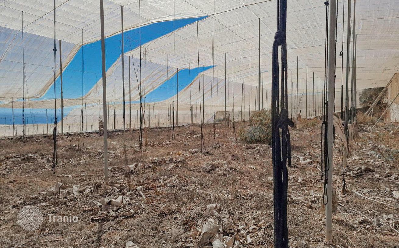 27,000 m² Land Plot with Greenhouses in Guia de Isora, Tenerife, photo 2