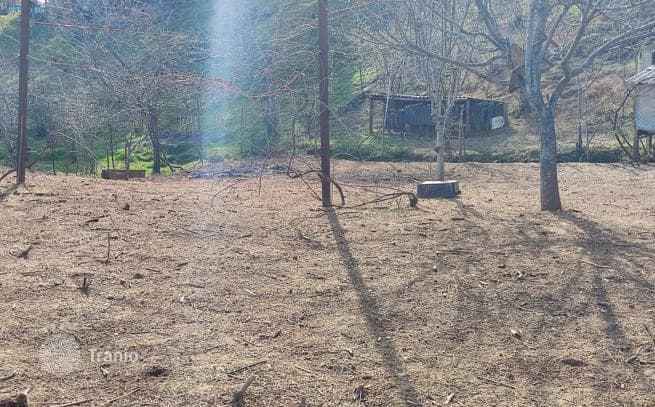 Land Plot with Mountain View in Chakvi, photo 2