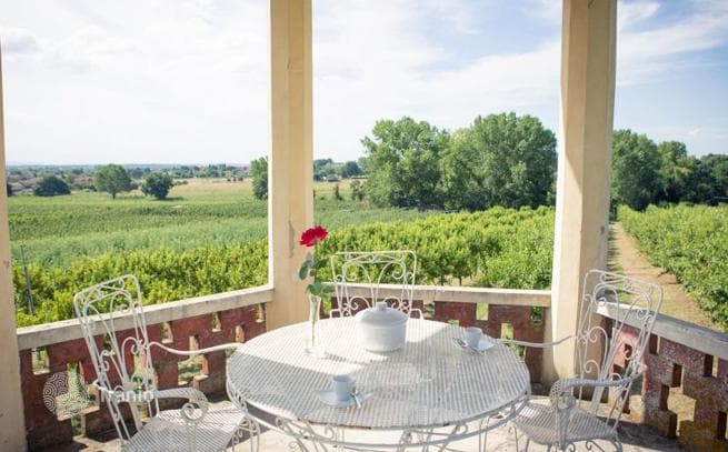 4-Bedroom Villa in Monte San Savino, photo 5